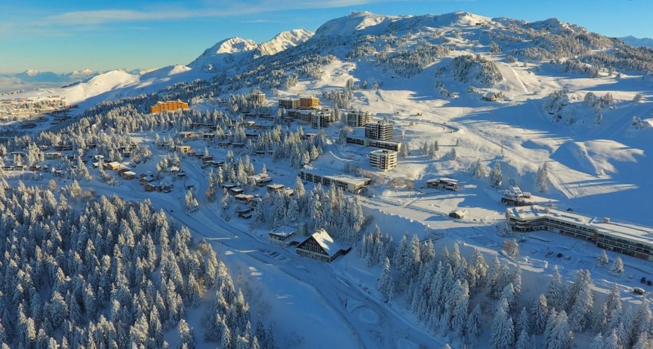 Charmant Appartement Confortable Pour 6 Personnes 40M2 Pied Pistes, Piscine, Wifi, Parking Chamrousse Exteriör bild