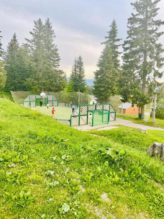 Charmant Appartement Confortable Pour 6 Personnes 40M2 Pied Pistes, Piscine, Wifi, Parking Chamrousse Exteriör bild